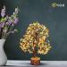 PYOR Aventurine Yellow Feng Shui Money Tree Crystals - Good Luck Energy Gemstones for Spiritual Decor - Buy Online on GoSupps.com