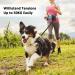 ETACCU Hands Free Dog Running Lead with Waist Belt | Reflective Shock Absorbing | Durable 2 Handles | 120-180cm Extendable - Buy Online on GoSupps.com