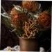 LIFKICH 6pcs Simulated Twigs Dry Branch Decor Diy Tree Twigs Christmas Tree Branches Artificial Tree Branches Christmas Craft Antler Fauk Plant Twigs Boho Decor Antlers The Witch Plastic Orange 35.00X20.00X5.00CM - Buy Online on GoSupps.com