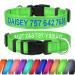 Tagme personalized dog collar for small dog with embroidered reflective nylon dog collar with pet name & telephone number green s s (1 Pack) green