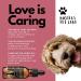 Buy Busters Hip and Joint Hemp Oil Formula for Dogs | Glucosamine Enriched Pain Relief & Mobility Support for Pets - Buy Online on GoSupps.com