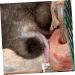 FRCOLOR Lick Salt Block Livestock Salt Lick Natural Block Horse Treats Animals Salt - Buy Online on GoSupps.com