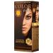 COLOR TIME | Permanent Gel Hair Dye Chestnut Color 25 | Enriched with Royal Jelly and Vitamin C | Permanent Hair Color | Covers Gray Hair | 100 ML 25 Chestnut