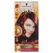 Schwarzkopf Country Colors Intensive Tint Level 2 58 Grand Canyon Garnet Red 1 piece 58 Grand Canyon Garnet Red 1 piece (1 pack)
