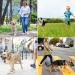 Demigreat 1.5m / 3m / 5m Dog Training Leash - Padded Handle Robust Long Line for Small to Large Dogs 10ft Green - International Shipping Available - Buy Online on GoSupps.com