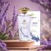 Yardley English Lavender by Yardley of London for Women Eau De Toilette Spray 4.2 Ounce 4.2 Fl Oz (Pack of 1) - Buy Online on GoSupps.com