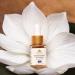 Kumkumadi Oil - Ayurveda Face Serum with Saffron & Sandalwood for Glowing Skin Helps Reduce Fine Lines & Spots Fast-Absorbing & Lightweight Saffron Facial Moisturizer- 0.50 Fl Oz/15ML