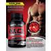 Nitric Oxide Booster with L Arginine & L Citrulline - Muscle Building, Vascularity, Pumps, Energy & Heart Health - Pre Workout Supplement - 60 Capsules - Buy Online on GoSupps.com