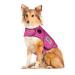 Thundershirt Dog Clothing Thundershirt Dog Anxiety Jacket Fuchsia Size L