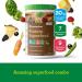 Amazing Grass Organic Vegan Rich Chocolate Protein Superfood Powder - 10 Servings (360g) - Buy Online on GoSupps.com