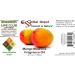 Mango Madness Fragrance Oil - 4 oz - Supplied in 4 oz. Amber Glass Bottle with Black Phenolic Cone Lined and Safety Sealed Cap. - Buy Online on GoSupps.com