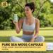 Herb To Body Organic Sea Moss Capsules | 60 Capsules | Wildcrafted | Vegan - Buy Online on GoSupps.com