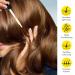 100% Pure Rosemary Oil for Hair Growth - Natural Essential Oil for Eyebrows & Eyelashes Nourishes Scalp & Stimulates Growth - 120ml - Buy Online on GoSupps.com