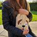 Soxo Plush Hot Water Bottle Cover for Kids & Adults - Pain Relief for Neck, Back, Period Cramps - Cute Dog Design - Buy Online on GoSupps.com