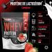  GEN GERMAN ELITE NUTRITION Whey Protein Complex - 1000g (Strawberry Milk) - With portion of isolate - Instant protein with BCAAs & EAAs - German Elite Nutrition - Buy Online on GoSupps.com