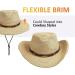 UPF 50+ Wide Brim Straw Sun Hat with Wind Lanyard - Beige/Brown, One Size - Buy Online on GoSupps.com