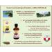 Premium Pine Balm - Regenerative Skin Care with Austrian Stone Pine | Soothes Neck Muscles & Joints | 100ml Pack - Buy Online on GoSupps.com