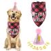 Amaxiu dog birthday party set young dog birthday bandana hat with 8 bling number pets Happy birthday delivers glitter hat plaid bandana for small medium large dogs (pink)