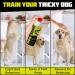 Dog Sonic Dog Training Spray NEW 180ml Size - Corrector Sound from Compressed Air for House Stop Dogs from Chewing Jumping - Anti Bark Break Fights - Dog Attack Deterrent Repellent Spray - Non-Toxic - Buy Online on GoSupps.com