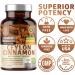 N1N Premium Ceylon Cinnamon 1200mg - 100% Organic Supplement for Healthy Blood Circulation, Brain and Joint Function - 120 Caps - Buy Online on GoSupps.com