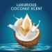Head & Shoulders Royal Oils Scalp Scrub with Coconut Oil - Dye-Free, 3.4 fl oz - Buy Online on GoSupps.com