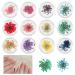 12 boxes dried flowers for nails nail art flowers set nail decorations dried flowers for nails flowers kit dried flowers set for nails