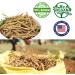DABC OAK LAND American Ginseng from Wisconsin DOL American Wisconsin Ginseng Slices Root / (4 Ounce (Bag of 1) Small Root) - Buy Online on GoSupps.com