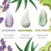 Hydrojelly Facial Masks 5 Pack - Kiwi Rose Aloe Lavender & Gold Powder | Professional Spa-Quality Peel Off Mask for Esthetician Skincare - Buy Online on GoSupps.com