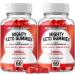 IDEAL PERFORMANCE (2 Pack) Mighty Keto Gummies Mighty Keto ACV Gummies (120 Gummies)