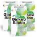 FINE JAPAN Ginkgo Biloba Leaf Extract Tablets/400 Tablets/3 Bottles/with Garlic Extract and B Vitamins for Daily Vitality Support 60g(150mg 400tablets)