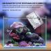 Boxtech Marine Saltwater Hydrometer - Reef Ocean Salinity Meter for Aquarium Testing - Buy Online on GoSupps.com