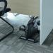 Uten Mini Exercise Bike Under Desk - Portable Arm & Leg Peddler with LCD Screen - Cool Black - Buy Online on GoSupps.com
