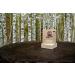 Dr. Squatch Basic Forest Pack - Pine Tar & Birchwood Breeze Handmade Bar Soap w/Organic Oils - Soap Gripper & Saver - Buy Online on GoSupps.com