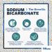 Baking Soda Sodium Bicarbonate 100% Pure Food Grade Bicarb Bicarbonate Baking Soda Bucket for Cooking Cleaning Baking Bath Bombs Odours Teeth MADE in UK by PSN (10KG) - Buy Online on GoSupps.com