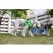 Puppia Dog Harness for Small & Medium Dogs - Soft Vest in Multiple Colors | Atani Train Harness for Puppies - Green Size M (PUAH305GRMD G) - Buy Online on GoSupps.com