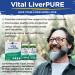 Vital Planet Vital Liver Pure Liver Cleanse Detox & Repair with Milk Thistle NAC Supplement N-Acetyl Cysteine Andrographis Dandelion Turmeric Alpha Lipoic Acid 2-Part 14-Day Kit 56 Capsules - Buy Online on GoSupps.com