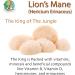 Organic Lions Mane mushroom powder extract by Ecogenya - Proudly Canadian fruiting body extract Value Pack (250 Grams) 250 g (Pack of 1) - Buy Online on GoSupps.com