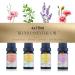 Abloom Moon Massage Oil Gift Box - 4 x 10ml Essential Oils for Aromatherapy Massage & Hair Care | Rose Jasmine Lavender - Buy Online on GoSupps.com