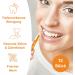Dentek Easy Brush ISO - Pack of 12 | Single Use Dental Brushes for Optimal Oral Hygiene - Buy Online on GoSupps.com