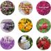 9 Bags Natural Dried Flowers Herbs Kit for DIY Soap & Candle Making - Rose, Lavender, Jasmine, Lilium & More - Buy Online on GoSupps.com
