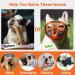 Jyhy Adjustable Muzzle for Flat-Nosed Dogs & Cats | Breathable Design for Bulldogs Pugs & More - Orange (28-43cm) - Buy Online on GoSupps.com