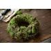 Fresh Sphagnum Moss- Live Moss 500g/1kg - Natural Sphagnum Moss Ideal for Terrariums Live Plant Displays and Wreaths (500g) - Buy Online on GoSupps.com