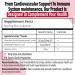 Kyolic - Cardiovascular Health Formula 109 120 Capsules - Reduce Elevated Blood Lipid Levels in Adults - Source of Antioxidant - Combination of Nattokinase and Suntheanine with Aged Garlic Extract 120 count (Pack of 1) - Buy Online on GoSupps.com