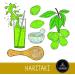 ECH Naturevibe Botanicals Organic Haritaki Powder 200gms - Buy Online on GoSupps.com
