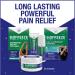 Biofreeze Pain Relief Patches - Day & Night Knee Back & Muscle Relief | FSA Eligible | 9 Menthol Patches - Buy Online on GoSupps.com