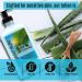 Saltwater Beaches Tan Extender - Aloe Vera After Sun Lotion for Sensitive Skin | Unisex Tanning Bed Moisturizer with Fresh Scent - Buy Online on GoSupps.com