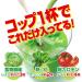 Yamamoto Young Barley Grass Powder - 9.3 Oz (0.58 Lb) | Premium Organic Supplements for International Shipping - Buy Online on GoSupps.com