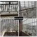 Bird Netting White Reusable Anti Bird Garden Protection Mesh Indoor White Decoration Protective Net Security Stairs Net (1x5M(3X16FT)) () - Buy Online on GoSupps.com