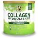 Great Lakes Gelatin Collagen Hydrolysate Grass-Fed Bovine Hydrolysed Collagen Peptides Protein Powder Supplement Unflavoured 226g Can 19 Servings (Pack of 1)