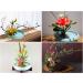 YOUEON 4-Piece Flower Frog Set - Japanese Flower Arranger Tools for Floral Arrangement and Plant Decoration - Buy Online on GoSupps.com